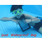 Apple iPad 2/3/4 Air Underwater Waterproof Case Cover Bag maks