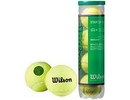 Wilson tenisa bumbas WILSON STARTER PLAY GREEN ( 4 BUMBU TUBS )