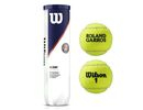 Wilson Roland Garros All Court Tennis Balls tenisa bumbas