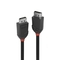 Lindy CABLE DISPLAY PORT 0.5M/BLACK 36490