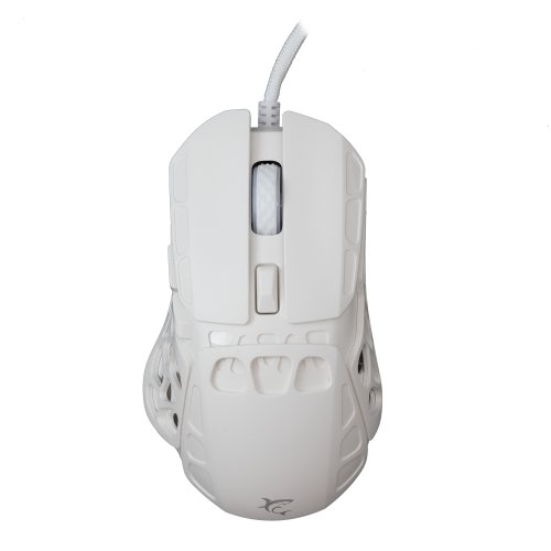White shark GM-5016 Ector White