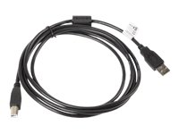 Lanberg CA-USBA-11CC-0018-BK cable