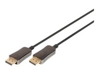 Assmann electronic DIGITUS DisplayPort AOC Hybrid M/M 10m