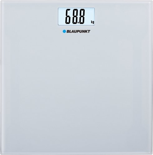 Blaupunkt BSP301