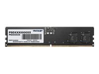 Patriot memory Signature DDR5 16GB