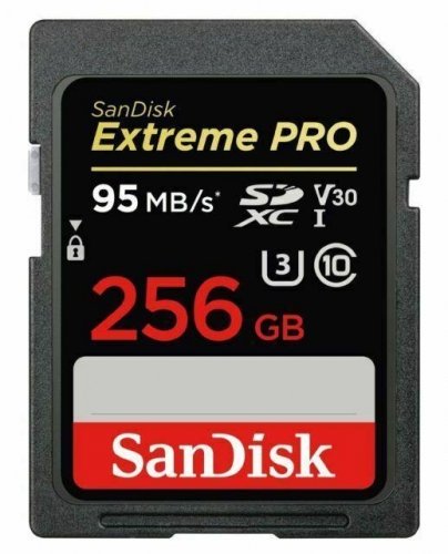 Sandisk by western digital MEMORY SDXC 256GB UHS-1/SDSDXXD-256G-GN4IN SANDISK