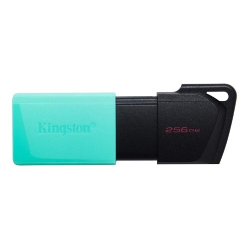 Kingston MEMORY DRIVE FLASH USB3.2/256GB DTXM/256GB