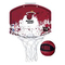 Nba_wilson basketball Basketbola groza komplekts NBA MINI-HOOP  MIAMI HEAT