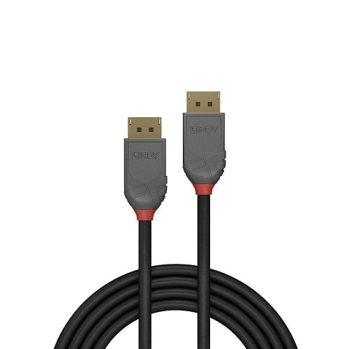 Lindy CABLE DISPLAY PORT 1M/ANTHRA 36481