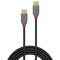 Lindy CABLE USB2 TYPE C 2M/ANTHRA 36872