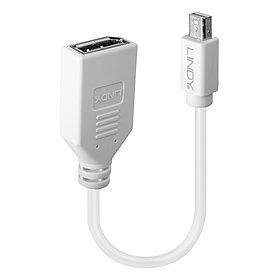 Lindy ADAPTER MINI DP TO DP/0.2M 41021