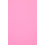 Evelatus Universal Color Shinning Film for Screen Cutter Universal Light Pink