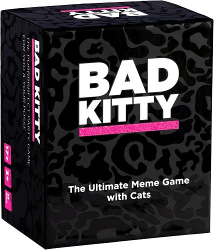 Dyce games Bad Kitty