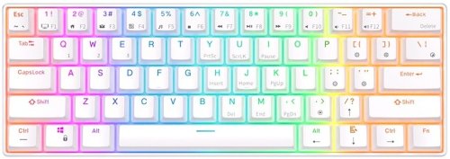 Royal kludge RK61 TKL Keyboard | 60%, Hot-swap, Brown Switches, US, White