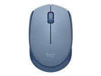 Logitech MOUSE USB OPTICAL WRL M171/BLUE 910-006866