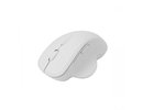 Sbox WM-549 White