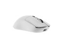 White shark GM-9010 MAXIMUS White