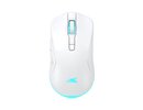Baracuda BGM-122 Turtle White