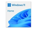 Microsoft MS ESD Win Home 11 64-bit