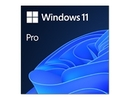 Microsoft MS ESD Win Pro 11 64-bit
