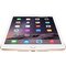 iPad Mini 3 ekrāns ar nomaiņu