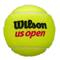 Wilson US Open spēlēta tenisa bumba Tennis Ball