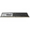 Patriot MEMORY DIMM 16GB DDR5-4800/PSD516G480081