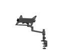 Neomounts NB ACC DESK STAND 11.6-17.3"/DS20-425BL1