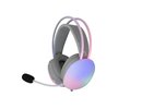 White shark GH-2342 Firefly White