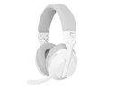 White shark WGH-2441 Falcon White/Grey