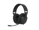 White shark FIRECREST BLACK WGH-2444