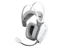 White shark GH-2446 Gottan White
