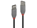 Lindy CABLE USB2 TYPE A 1M/ANTHRA 36702
