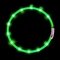 Anicoll LED Collar for Dogs and Cats Green