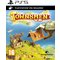 Thq nordic gmbh Townsmen (PSVR2) PS5