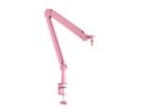 Fifine BM66P Microphone Arm
