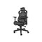 Natec NFG-1366 Genesis Gaming Chair NITR