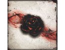 Ludus magnus studio Black Rose Wars