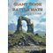 Loke battlemats Loke Battle Mats: Giant Book of Battle Mats - Wilds, Wrecks & Ruins