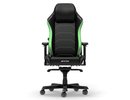 Dxracer Master Series XL F24 Black & Green EPU Leather Ergonomic Chair (LTA-NM-X1)