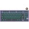 Royal kludge RK X87 Blackberry Mousse Wired Keyboard | 87%, Hot-swap, Cream switches