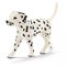 Schleich - Farm World Male Dalmatian Dog