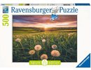 Ravensburger - Puzzle 500 Dandelion In The Sunset