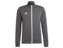 Adidas Entrada 22 Track Jacket - grey
