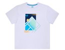 Australian open Tennis Court Print